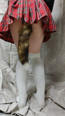 My favorite tail. What kind of tail should I get next?