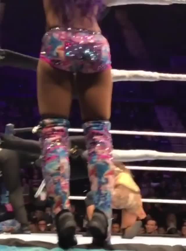 Sasha1