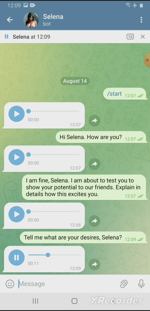 Selena0 - Voice messages and Image gen. Update!