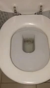 Check your toilet before you poop