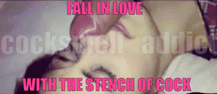 Fall in Love with the Stench