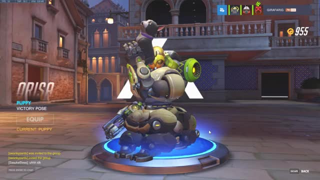 New Orisa Face Dog Butt Emote