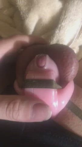 chastity cumshot sissy clip