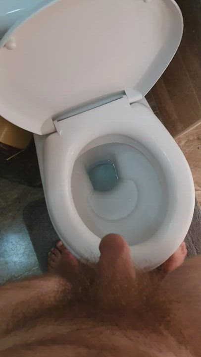 Cock Pee Peeing Piss Pissing Toilet clip