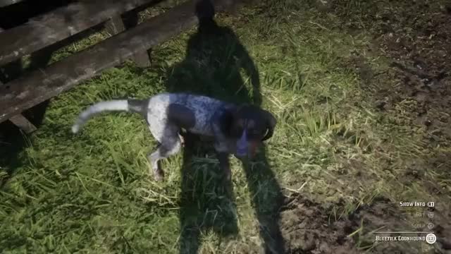 gaming red dead redemption 2 clip