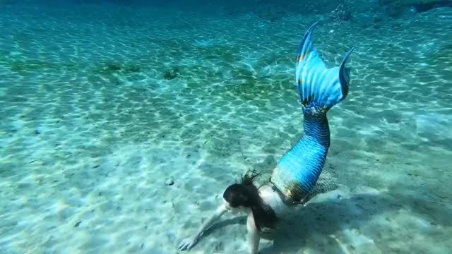 Mermaid tricks! #mermaid #dualipa #underwater #gopro #girlswhofreedive #happy #babe