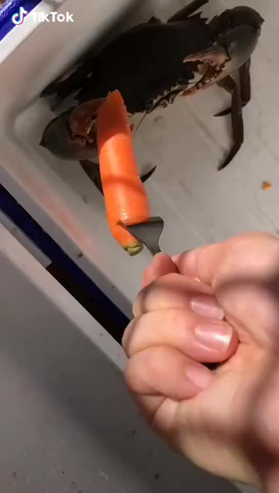 crab cut carrot