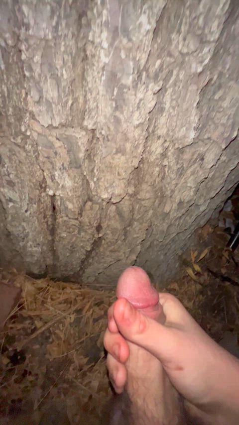 (21) cum tagging tree in public campground 