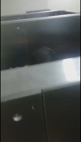 balls sucking blowjob clothed cum in mouth public quickie toilet clip