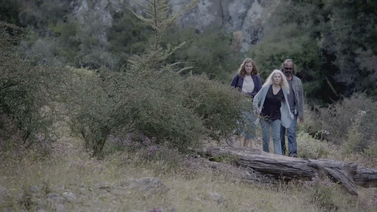 That scene from mini-series Top of the Lake S01E05 (AU-UK2013)
