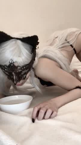 You wanna see your kitty drink her milk like a good girl? ? Join my Onlyfans to access