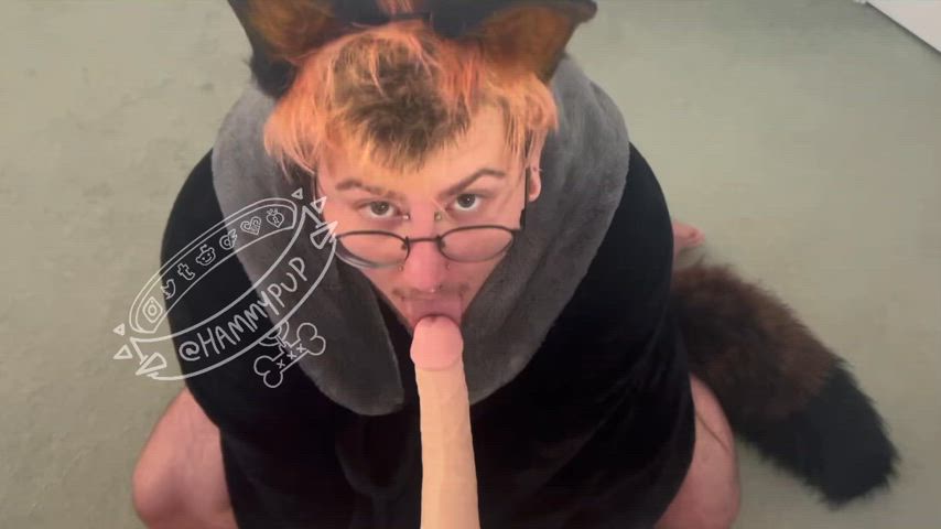 Puppy boy gags on your cock!!