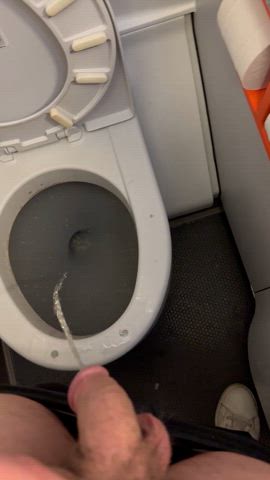 Plane piss