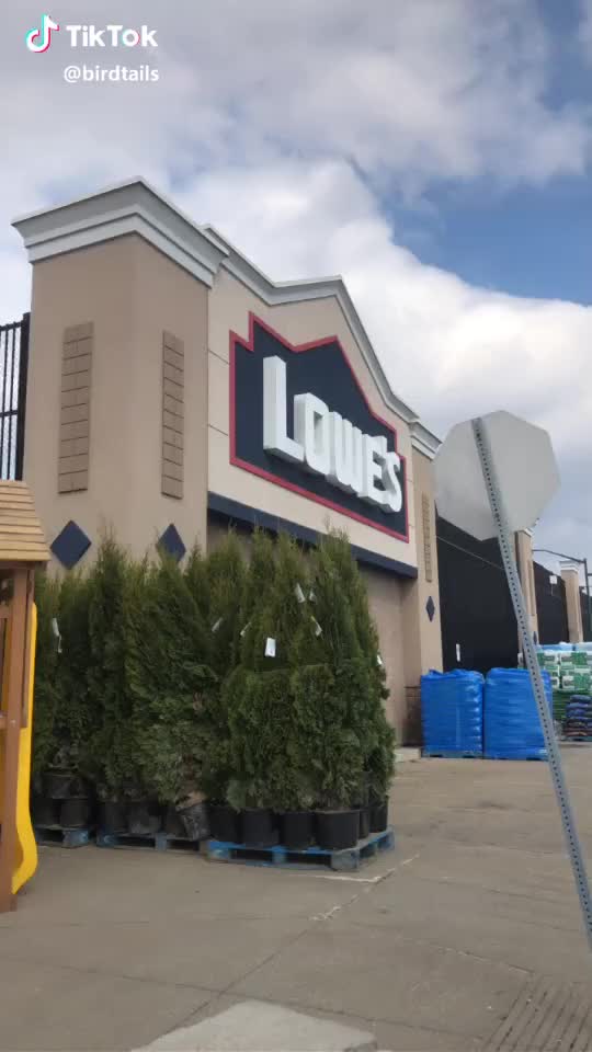 Come on Lowe’s after all we have been through? #lowes #aww #why