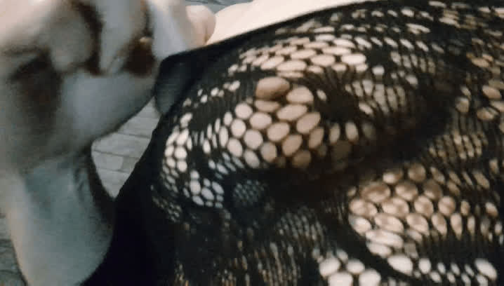 boobs fishnet nipples tits clip