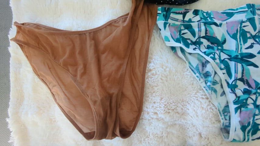 amateur milf panties clip