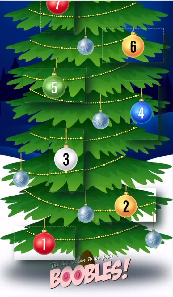 The Count Down to Christmas is finally here! Follow the new Boobles Advent Calander