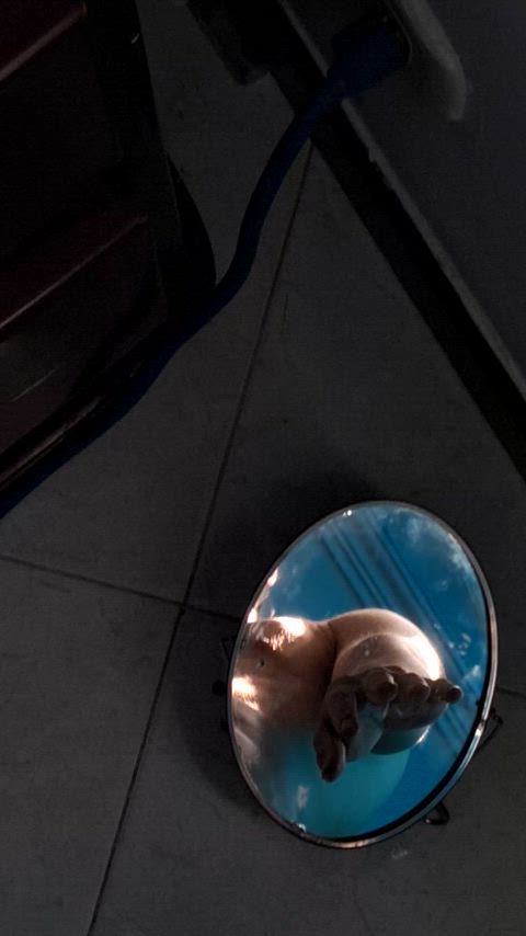 big dick mirror nude art clip