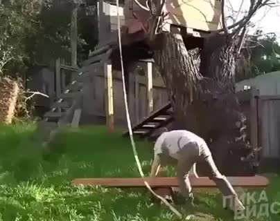  clip
