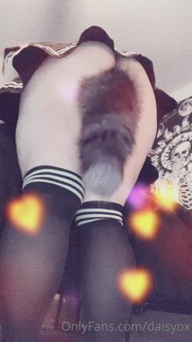 Do you like tails? 😋 $5 OF! 300+ pics/videos and growing with daily posts! Come