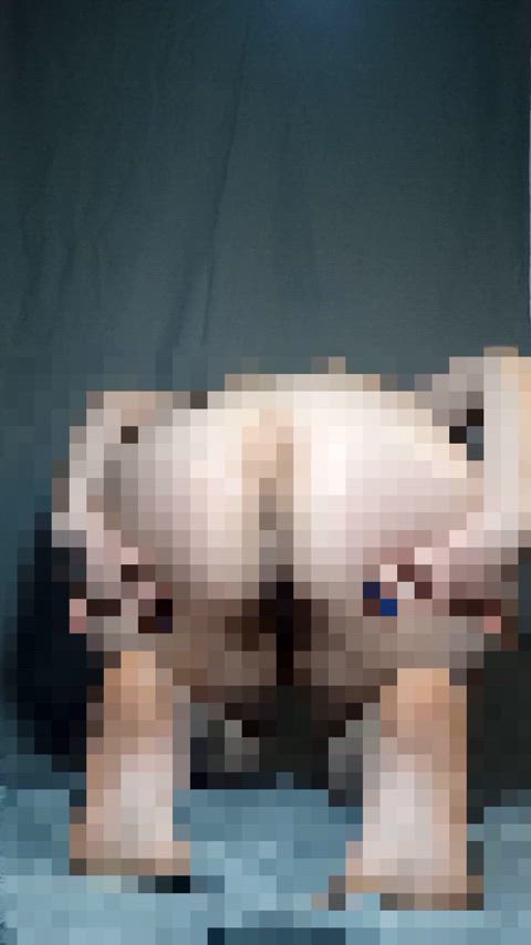 Looks like beta losers only see this ass pixelated