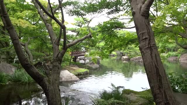 Park in Japan