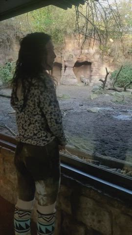 Caught a wild nymph at the zoo😉 [GIF]
