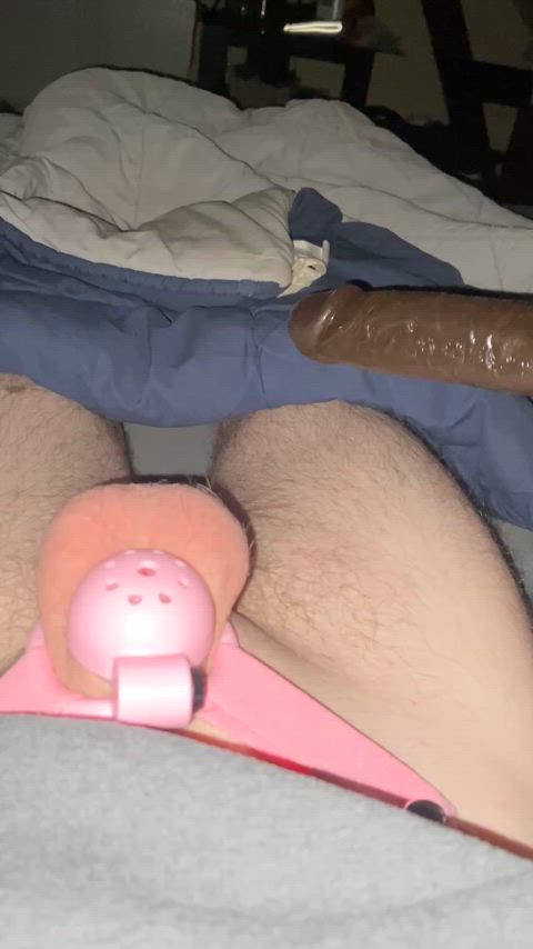 cagedsissy2020 sissy sissy slut clip