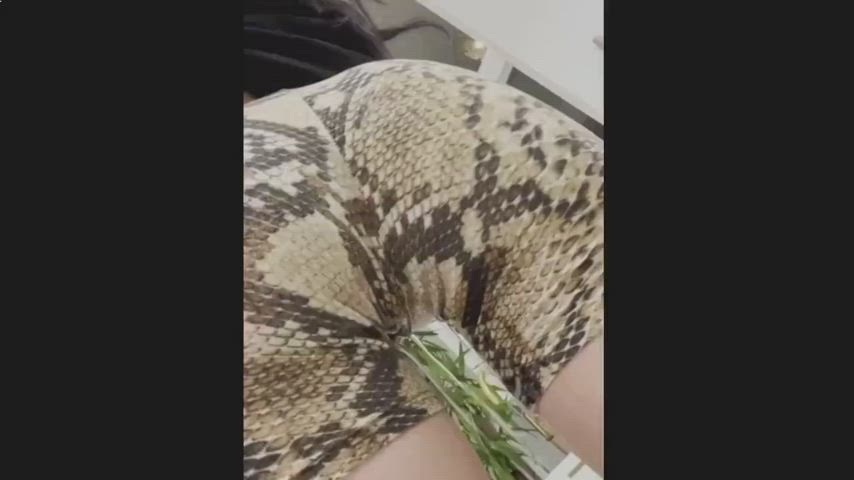 Canadian Hentai Indian Interracial Latina Schoolgirl Spanking Squirting Sucking clip