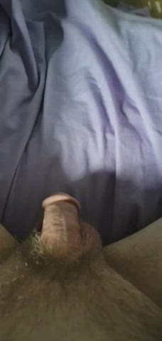 Bed Sex Cock Pee Peeing Penis Wet clip