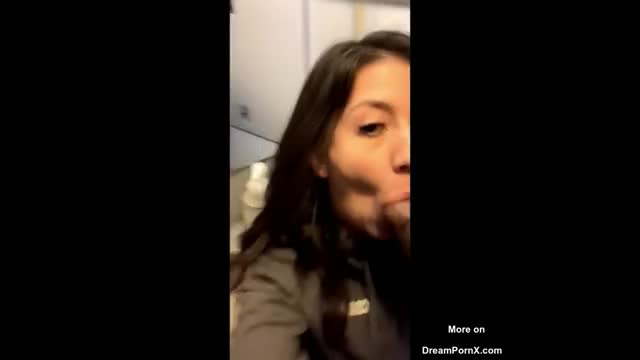 DreamPornX.com - Sucking a huge BBC in the airplane bathroom