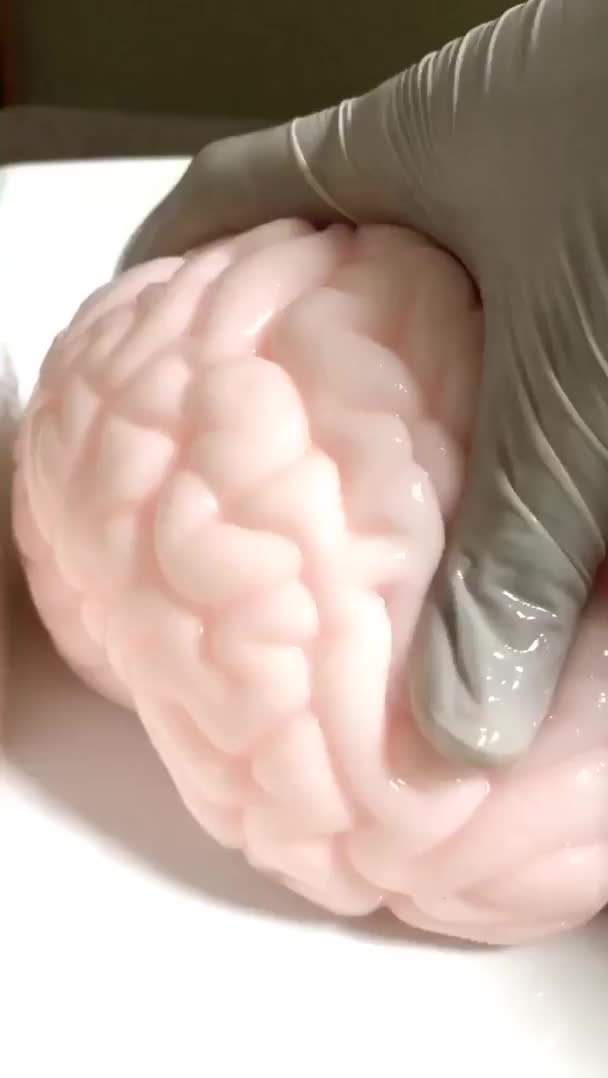 Sexy Brain