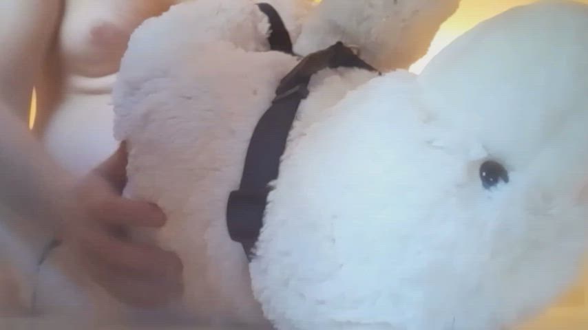 bear sex toy clip