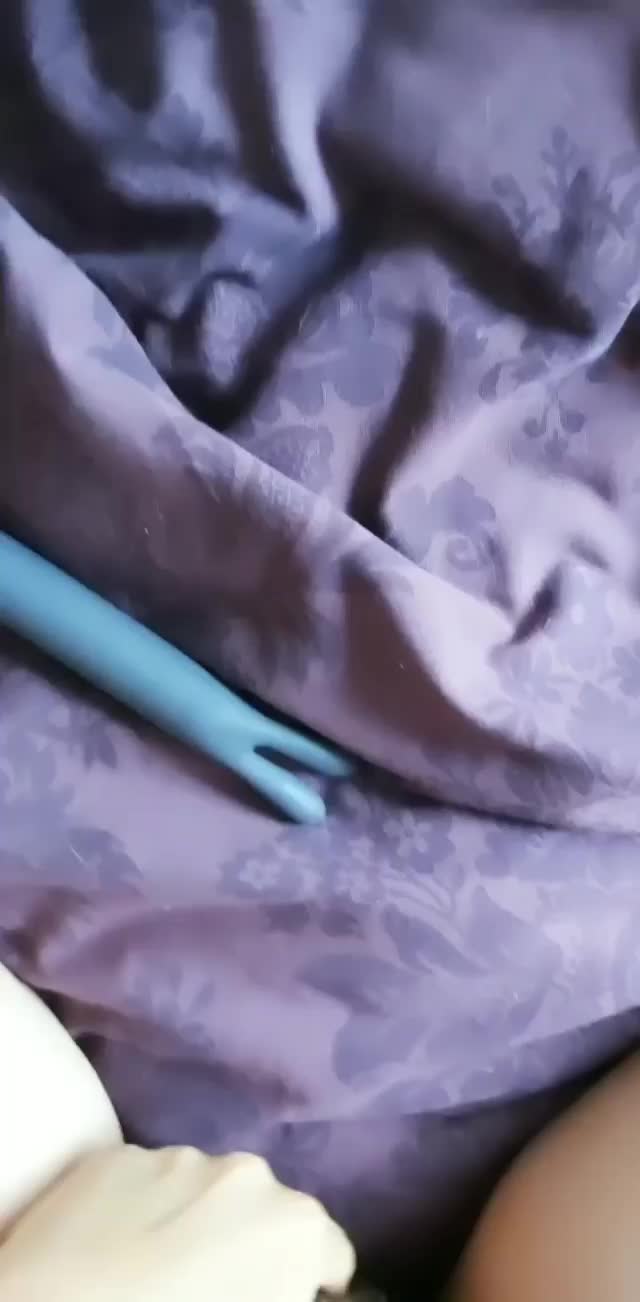  clip