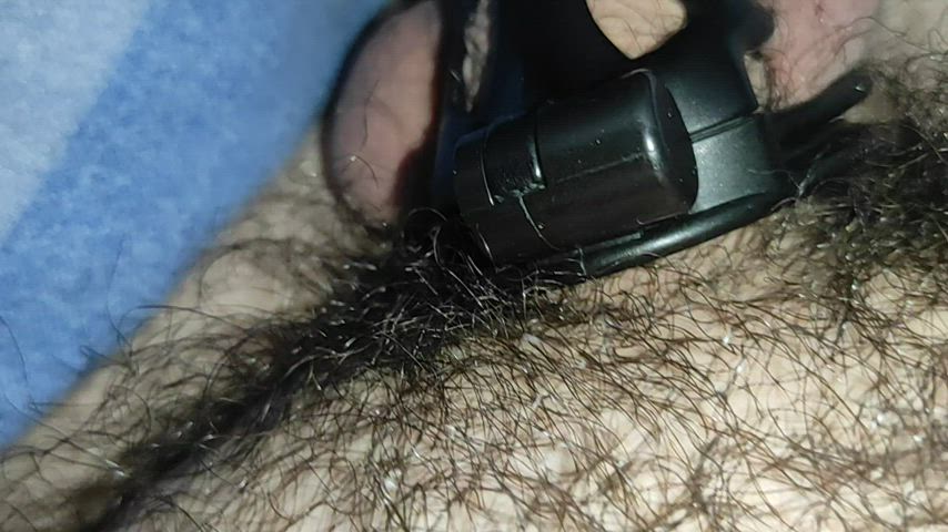 chastity puppy slave clip