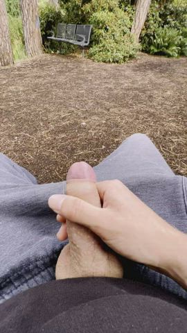 big dick caught cock masturbating outdoor public solo r/caughtpublic clip