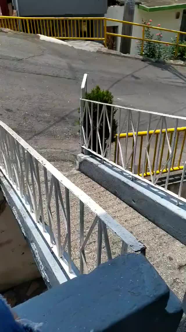 clip