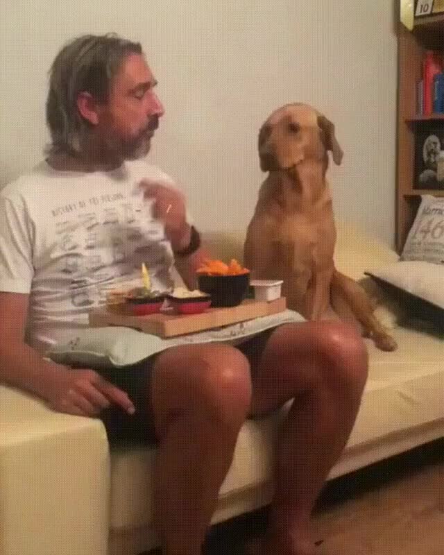 "I definitely don't want ANY of your food!"