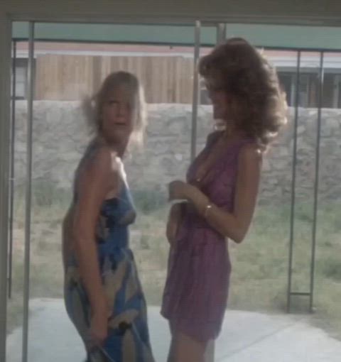 Valerie Perrine & Shannon Wilcox - The Border (1982)