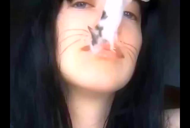 clip