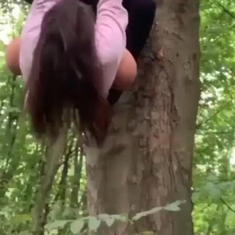 Never hang from a tree