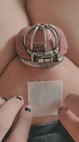 bbc chastity cuckold clip