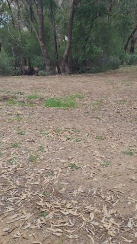 Bench in the middle of nowhere