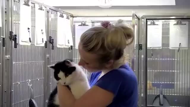 Lucy Pinder at The Cats Adoption Centre