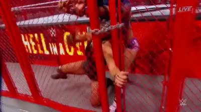 WWE Hell In A Cell 2019 - 3