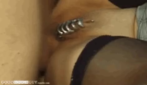 Anal Pierced clip