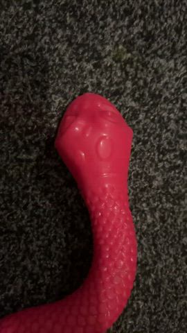 object insertion pussy pussy lips pussy spread rubber sex toy shaved pussy toy toys