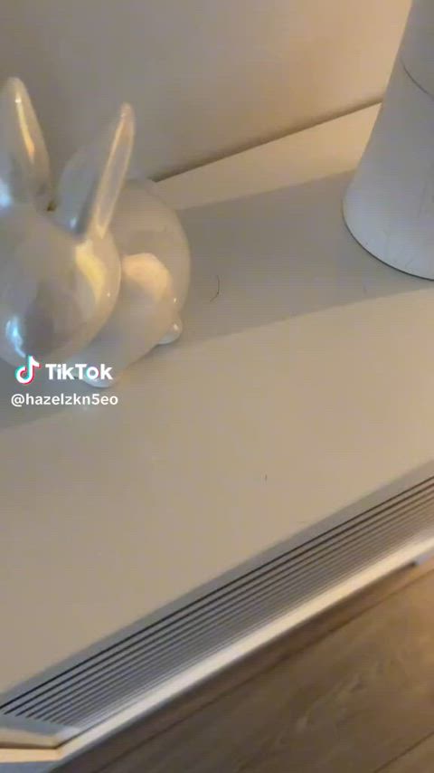 boobs flashing nipples nipslip tiktok r/tiktits clip