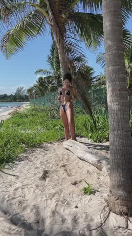 Beach Bikini Outdoor Public clip