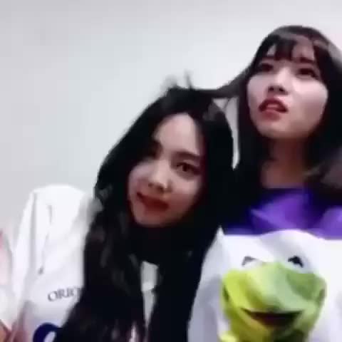 Namo - Nayeon and Momo